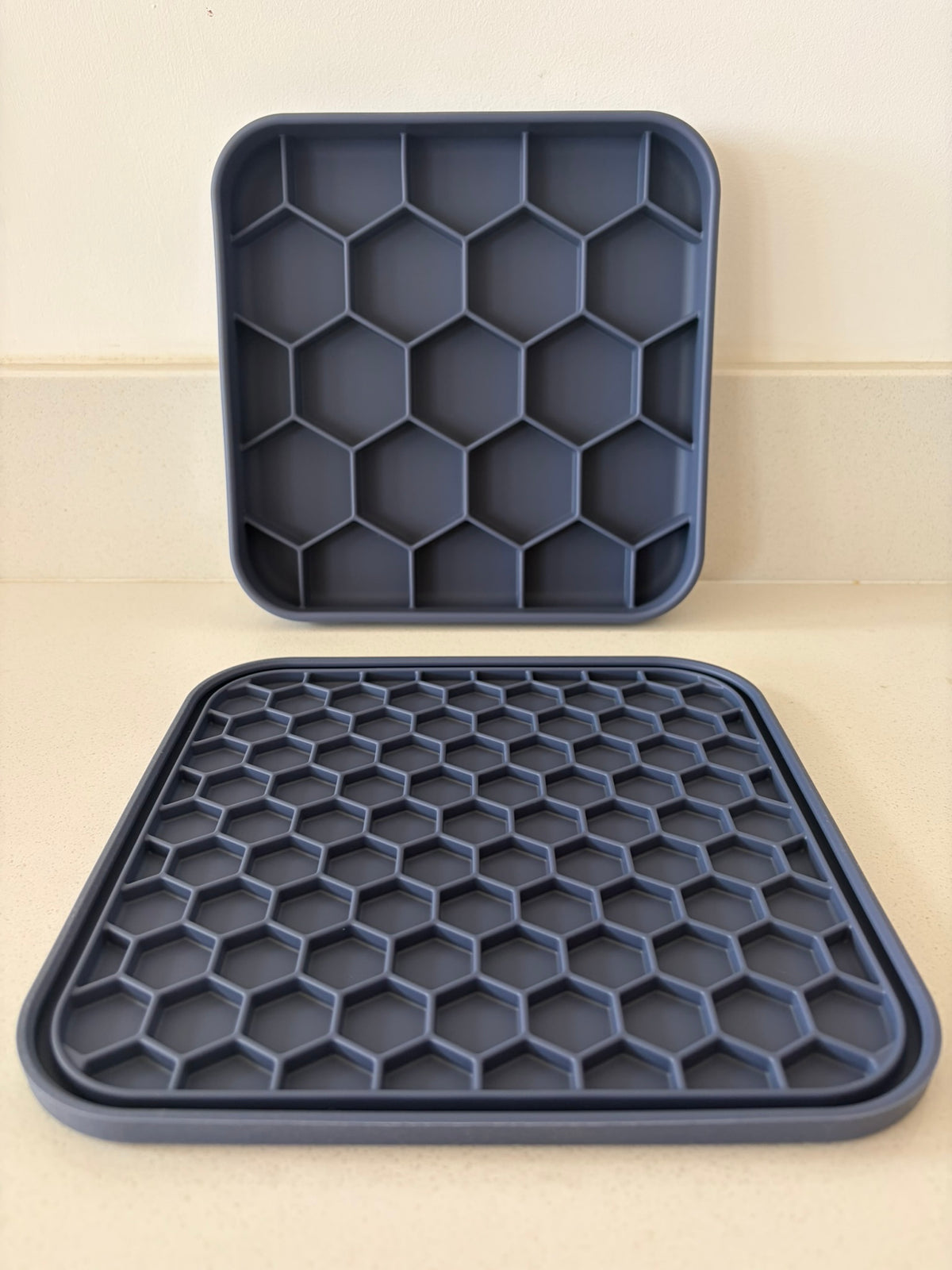 2 in 1 Dual Slow Feeder and Lick Mat