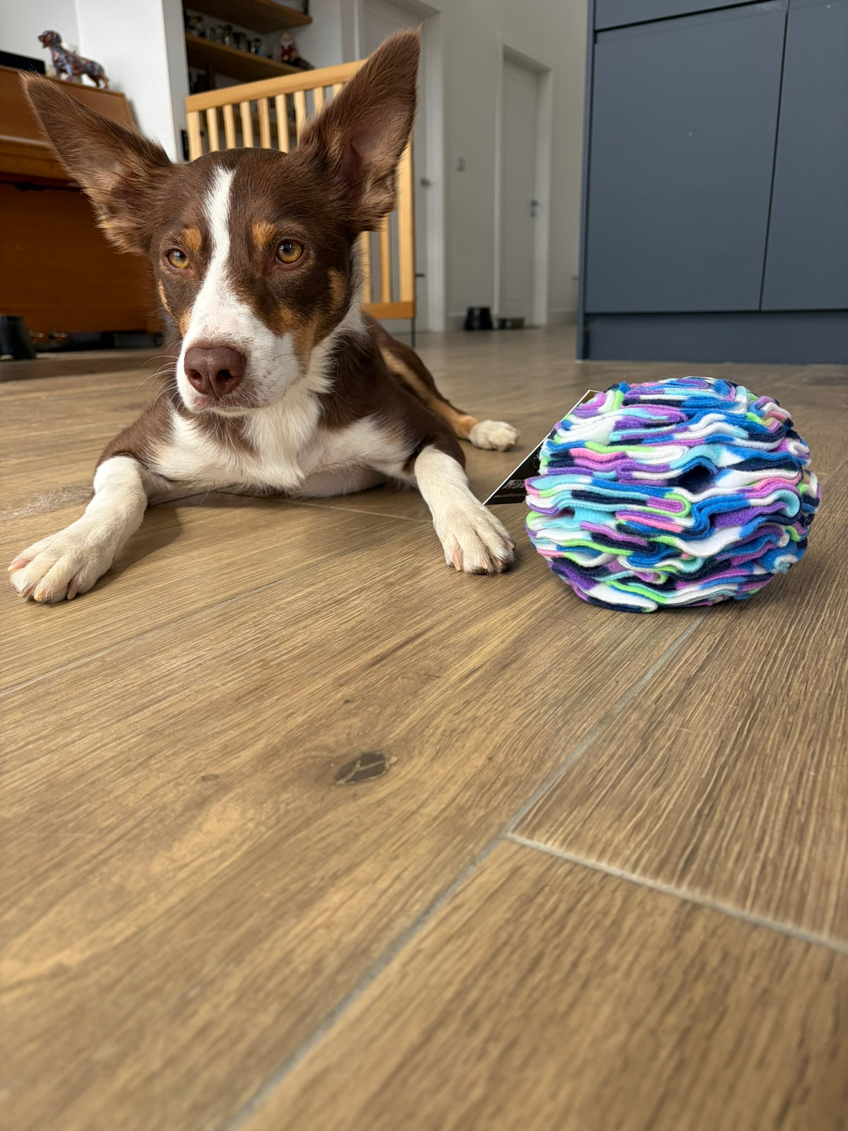 Medium Snuffle Ball