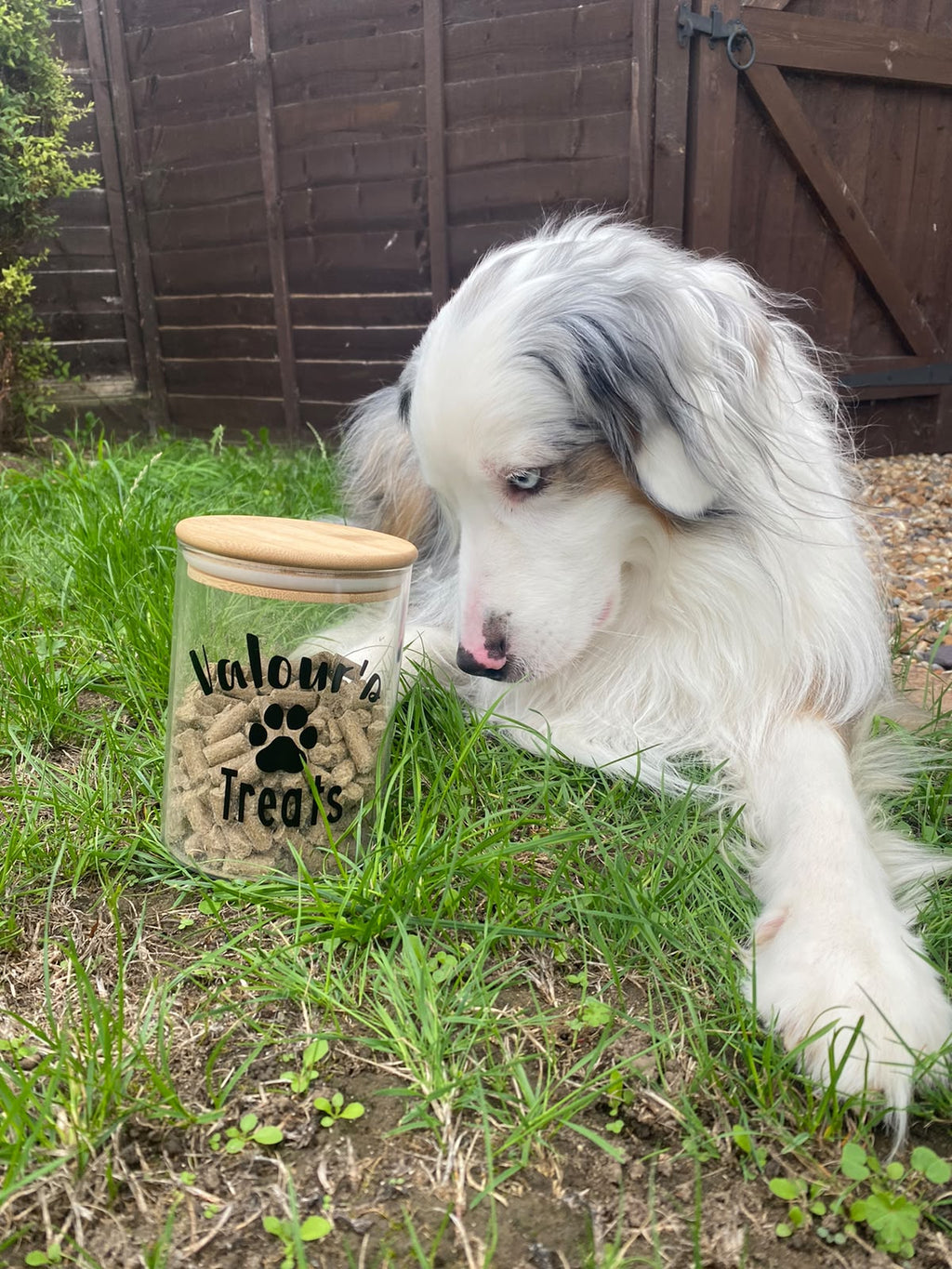 Personalised Treat Jars