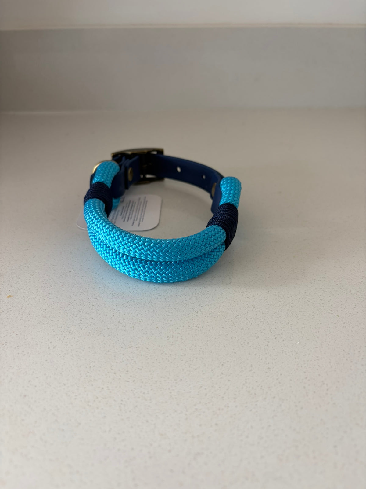 Blue Premium Rope & Biothane Buckle Dog Collar