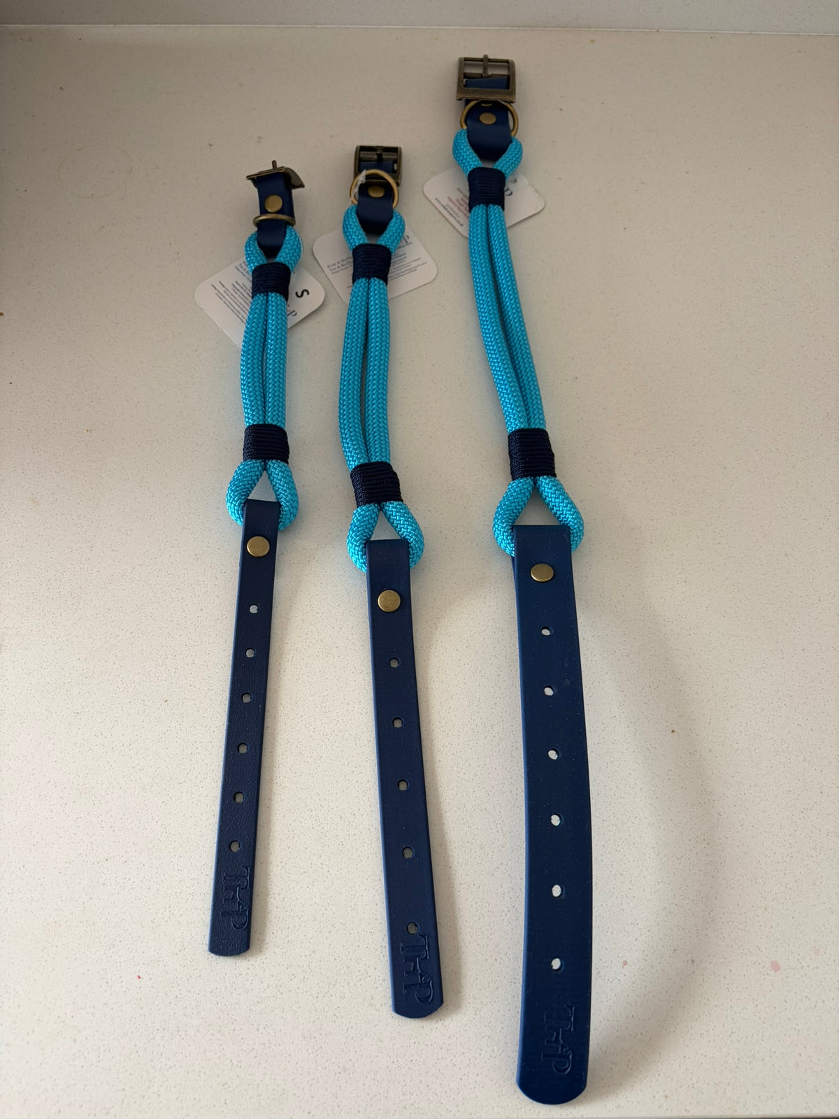 Blue Premium Rope & Biothane Buckle Dog Collar
