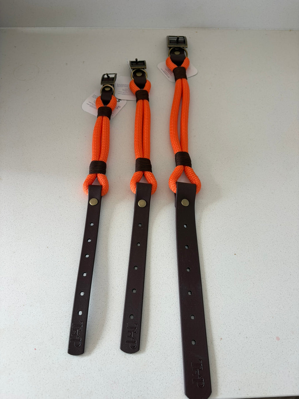 Orange Premium Rope & Biothane Buckle Dog Collar