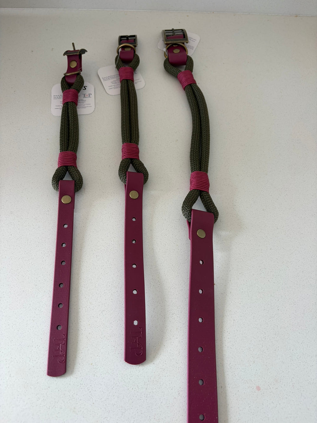 Hunter Green Premium Rope & Biothane Buckle Dog Collar