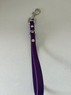 BioThane® Short Dog Leads & Traffic Handles