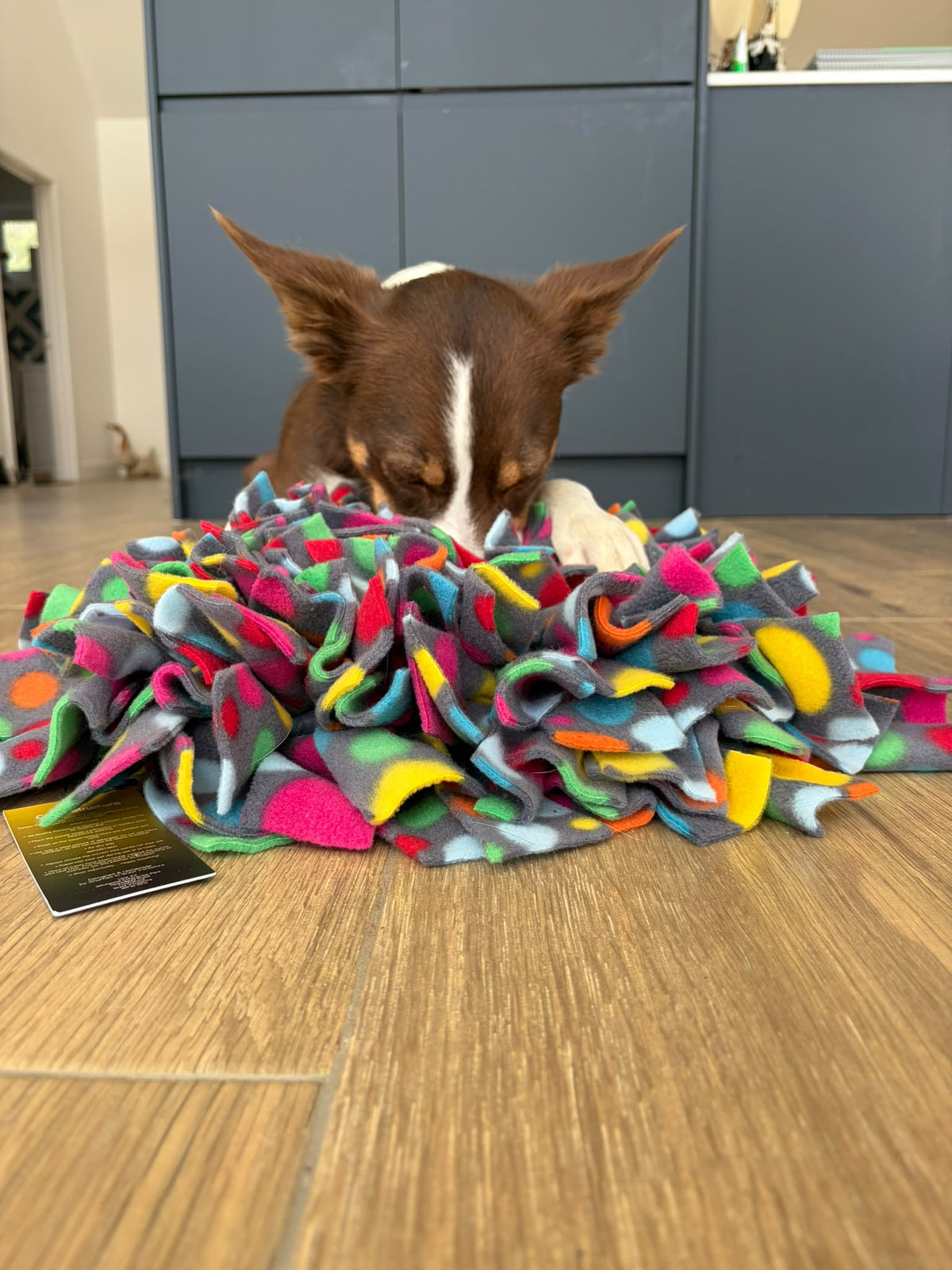 Large Snuffle Mat
