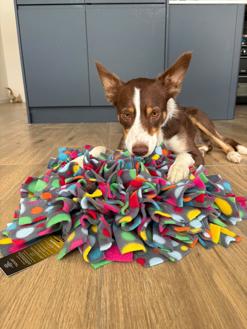 Medium Puppy / Dog Enrichment Pack 4