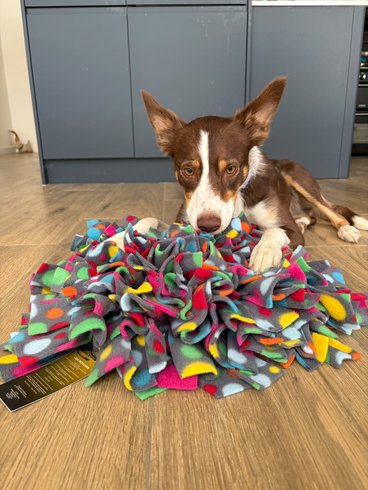 Large Snuffle Mat
